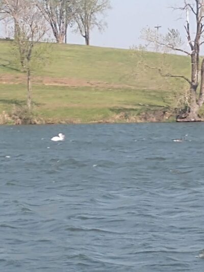 Lancaster Ballpark - Lancaster, MO