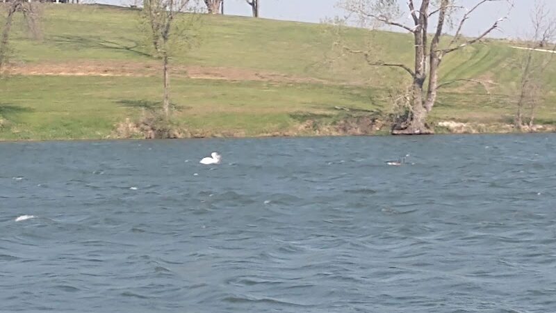 Lancaster Ballpark - Lancaster, MO