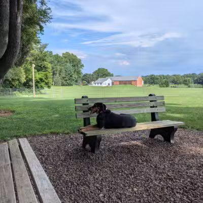 Overlook Dog Park *Membership required - Lancaster, PA