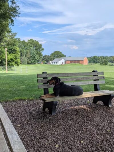 Overlook Dog Park *Membership required - Lancaster, PA