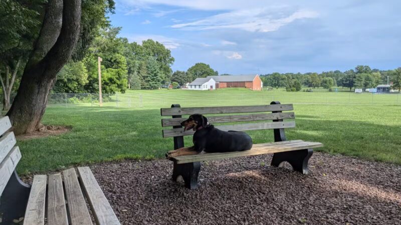 Overlook Dog Park *Membership required - Lancaster, PA