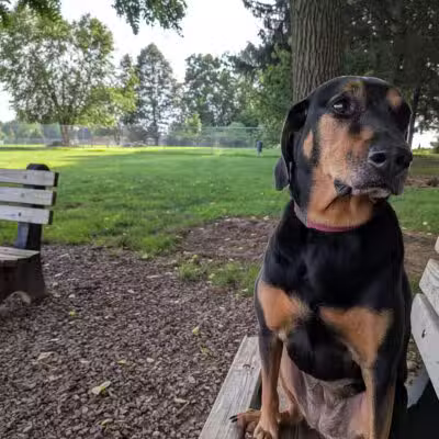 Overlook Dog Park *Membership required - Lancaster, PA