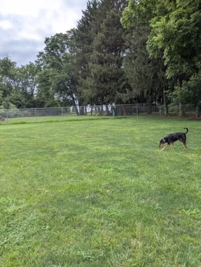 Overlook Dog Park *Membership required - Lancaster, PA