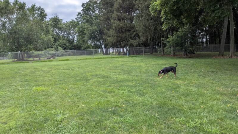 Overlook Dog Park *Membership required - Lancaster, PA