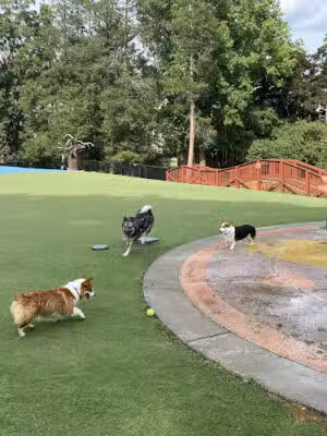 Beau’s Dream Dog Park - Lancaster, PA