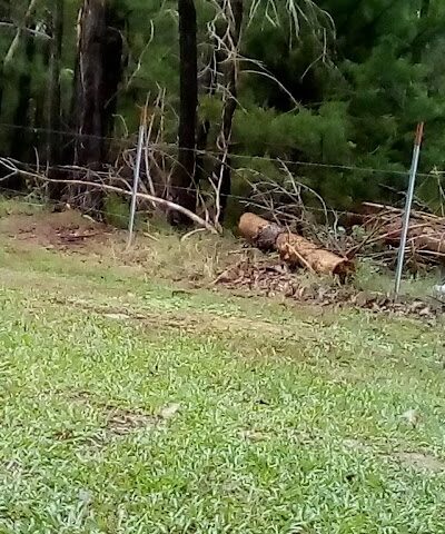 Bear Creek Park - Lancaster, SC