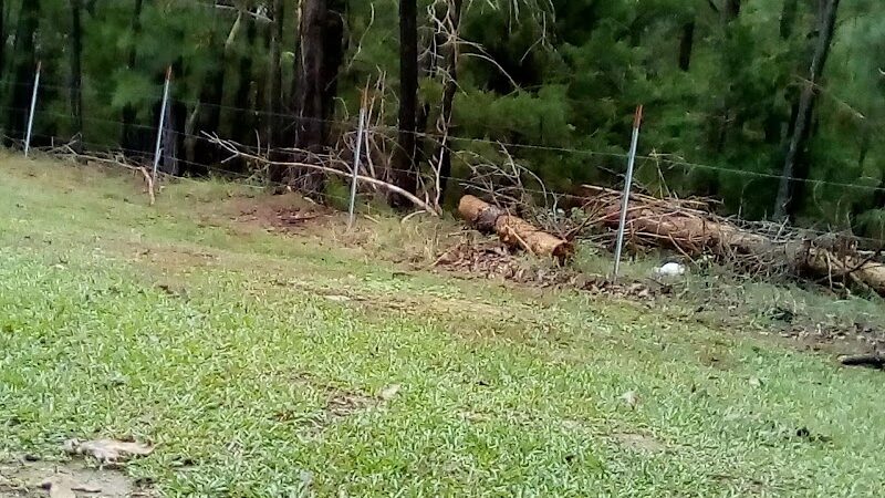 Bear Creek Park - Lancaster, SC