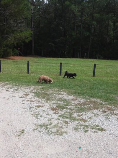 Bear Creek Park - Lancaster, SC
