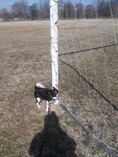 Lancaster County Recreation - Lancaster, SC