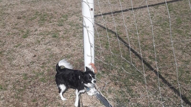 Lancaster County Recreation - Lancaster, SC