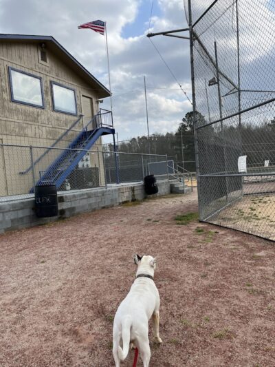 Lancaster County Recreation - Lancaster, SC
