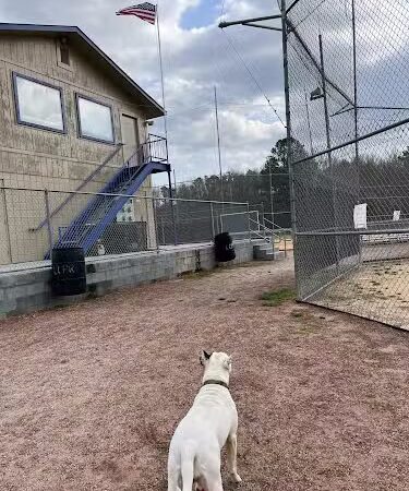 Lancaster County Recreation - Lancaster, SC