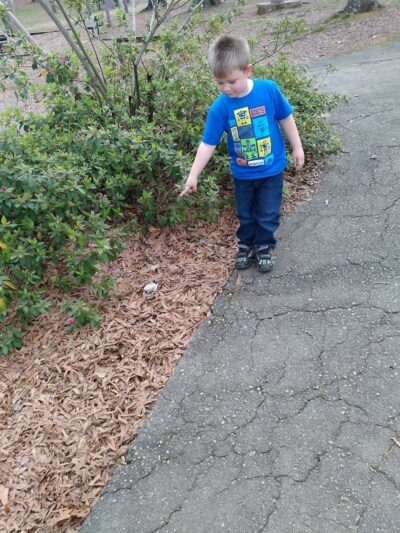 Municipal Justice Center Park - Lancaster, SC