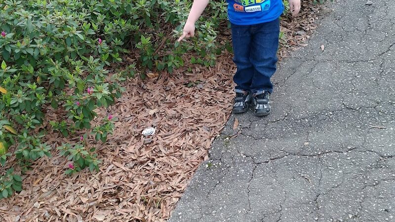 Municipal Justice Center Park - Lancaster, SC