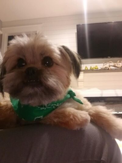 Palmetto Paws & Doggy Daycare - Lancaster, SC