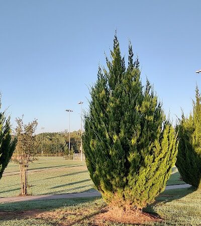 Walnut Creek Park - Lancaster, SC