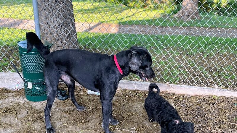 Lancaster Dog Park - Lancaster, TX