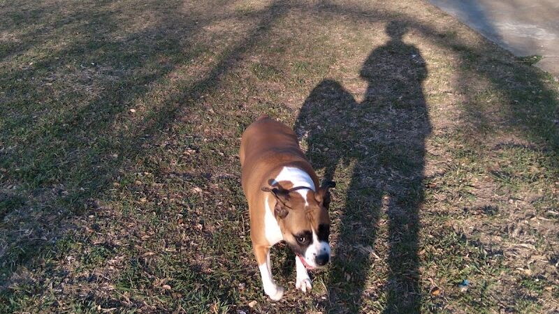 Lancaster Dog Park - Lancaster, TX