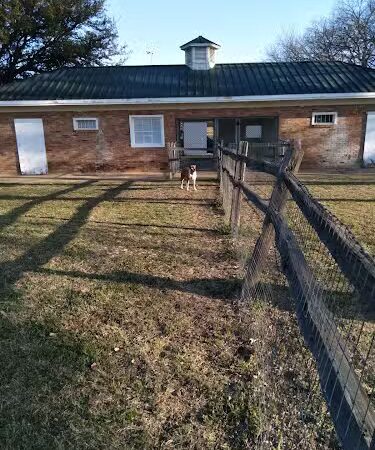 Lancaster Dog Park - Lancaster, TX