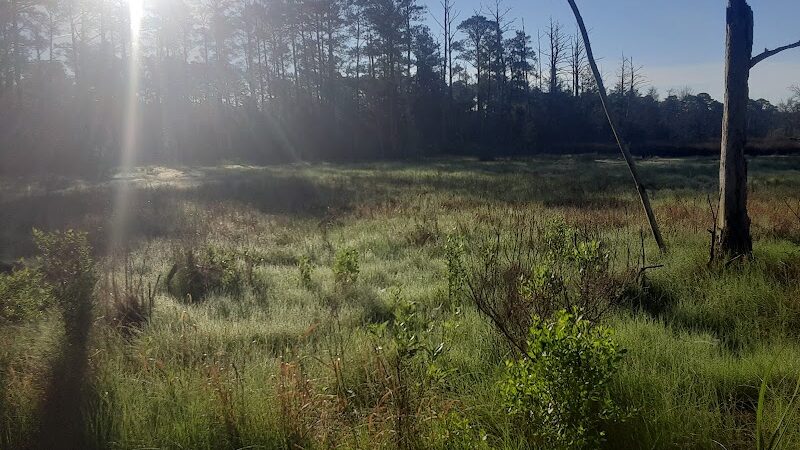 Belle Isle State Park - Lancaster, VA