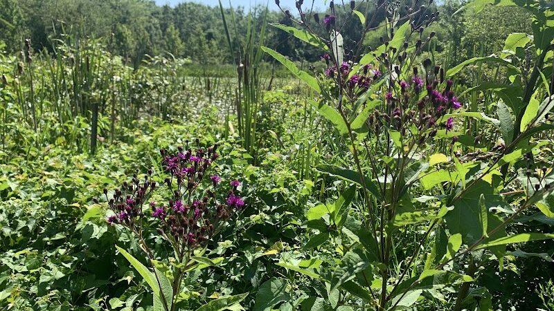 Columbia Park Kentland Community Center Park - Landover, MD