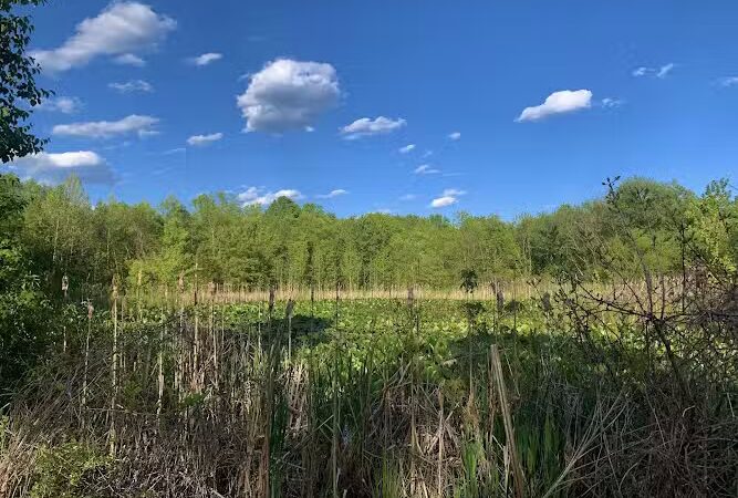 Columbia Park Kentland Community Center Park - Landover, MD