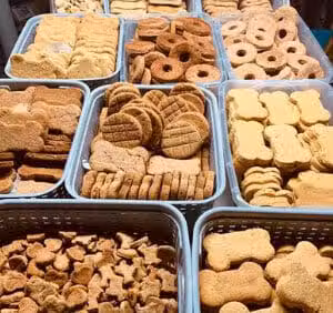 The Berkshire Dog - Lanesborough, MA