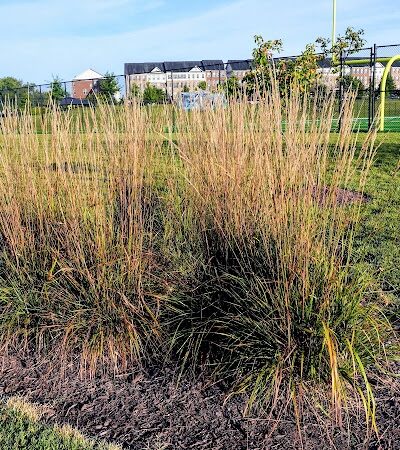 Woodmore Towne Centre Park - Lanham, MD