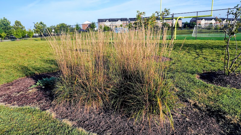 Woodmore Towne Centre Park - Lanham, MD