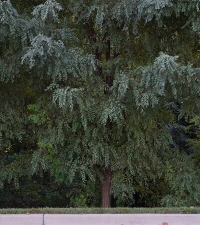 Woodmore Towne Centre Park - Lanham, MD