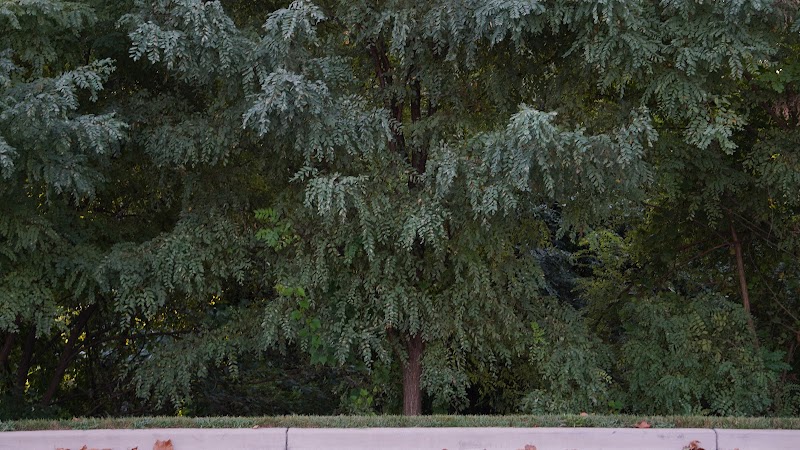 Woodmore Towne Centre Park - Lanham, MD