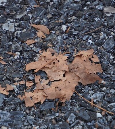 Woodmore Towne Centre Park - Lanham, MD