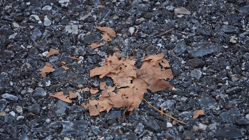 Woodmore Towne Centre Park - Lanham, MD