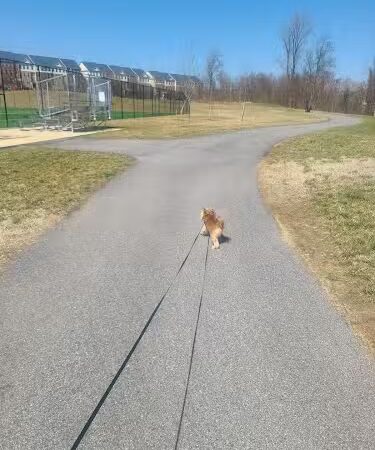 Woodmore Towne Centre Park - Lanham, MD