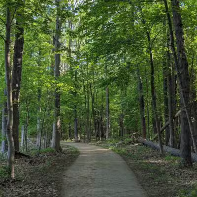 Bancroft Park (North Trailhead) - Lansing,