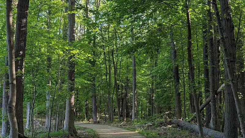 Bancroft Park (North Trailhead) - Lansing,