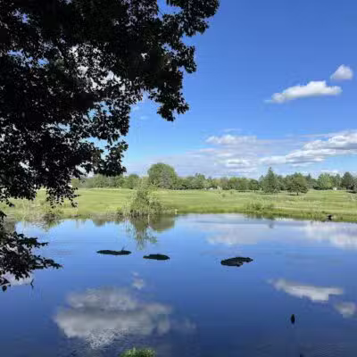 Bancroft Park (North Trailhead) - Lansing,