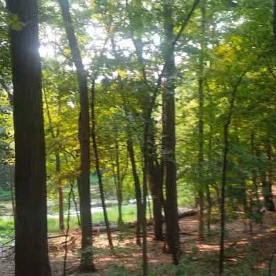 Bancroft Park (North Trailhead) - Lansing,