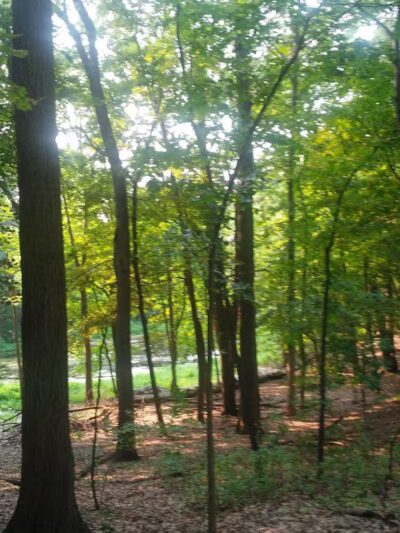 Bancroft Park (North Trailhead) - Lansing,