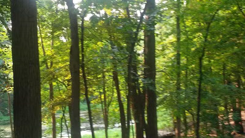 Bancroft Park (North Trailhead) - Lansing,