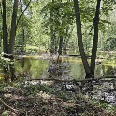Hawk Island Park - Lansing,