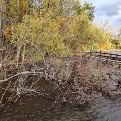 Hawk Island Park - Lansing,