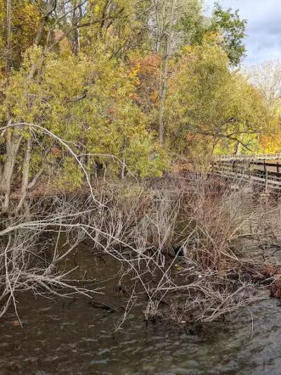 Hawk Island Park - Lansing,