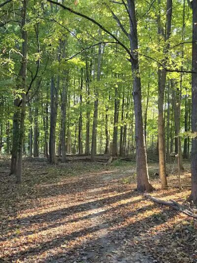 Hawk Meadow Park - Lansing,