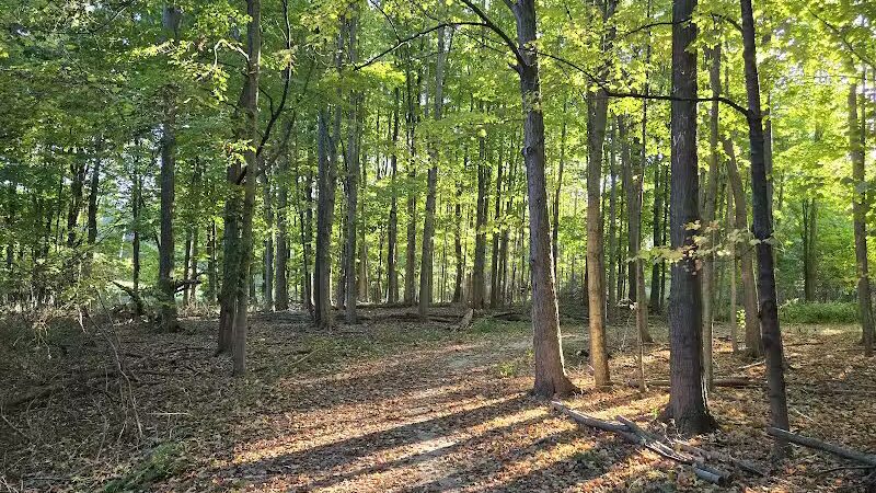 Hawk Meadow Park - Lansing,