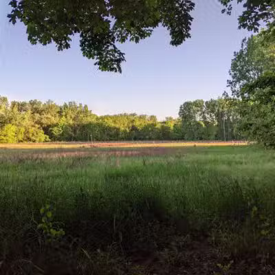 Hawk Meadow Park - Lansing,