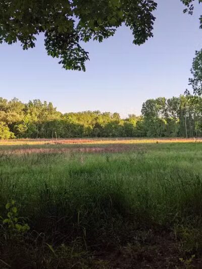 Hawk Meadow Park - Lansing,