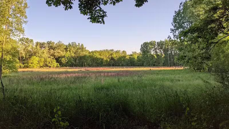 Hawk Meadow Park - Lansing,