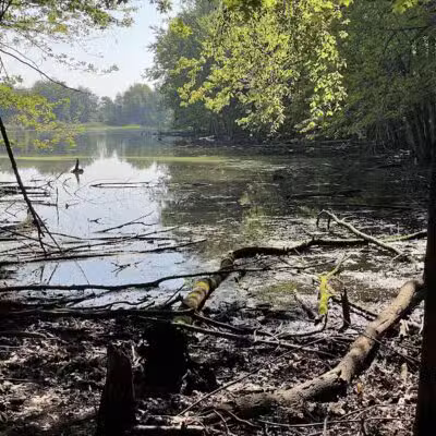 Hawk Meadow Park - Lansing,