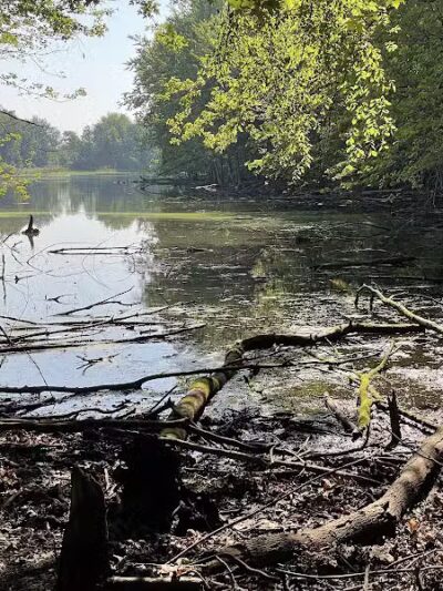 Hawk Meadow Park - Lansing,
